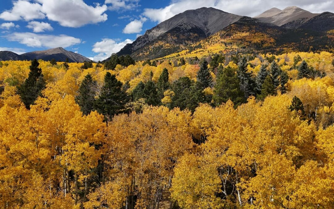 Can IV Therapy Actually Help With Altitude Sickness Symptoms?